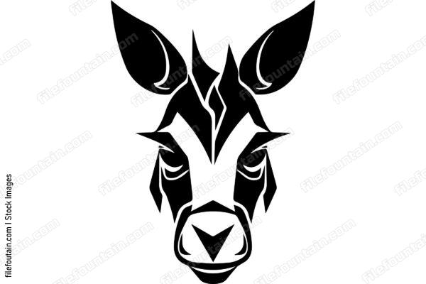 Donkey