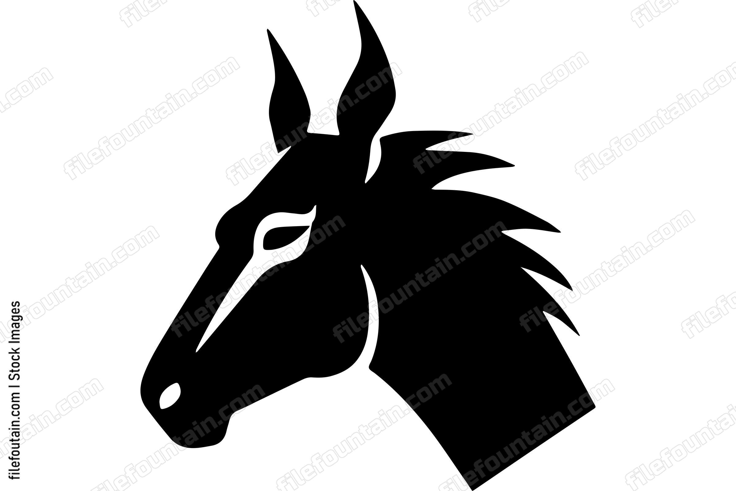 Donkey