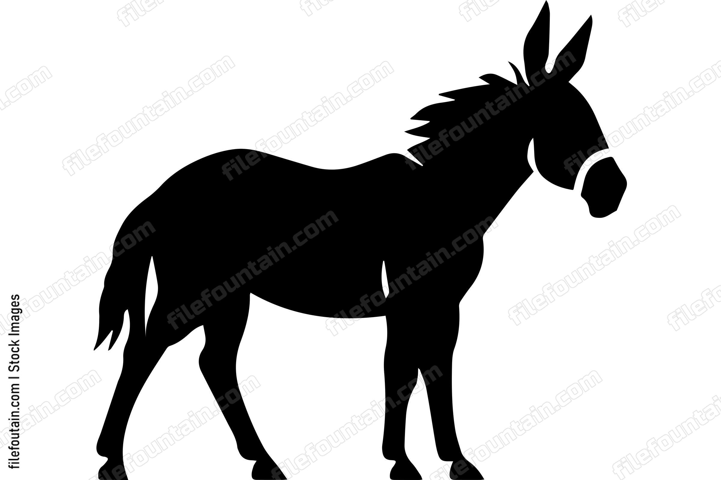 Donkey