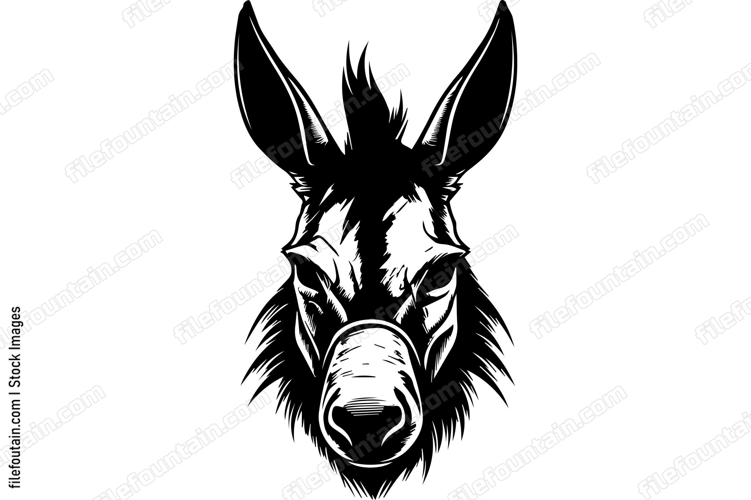 Donkey