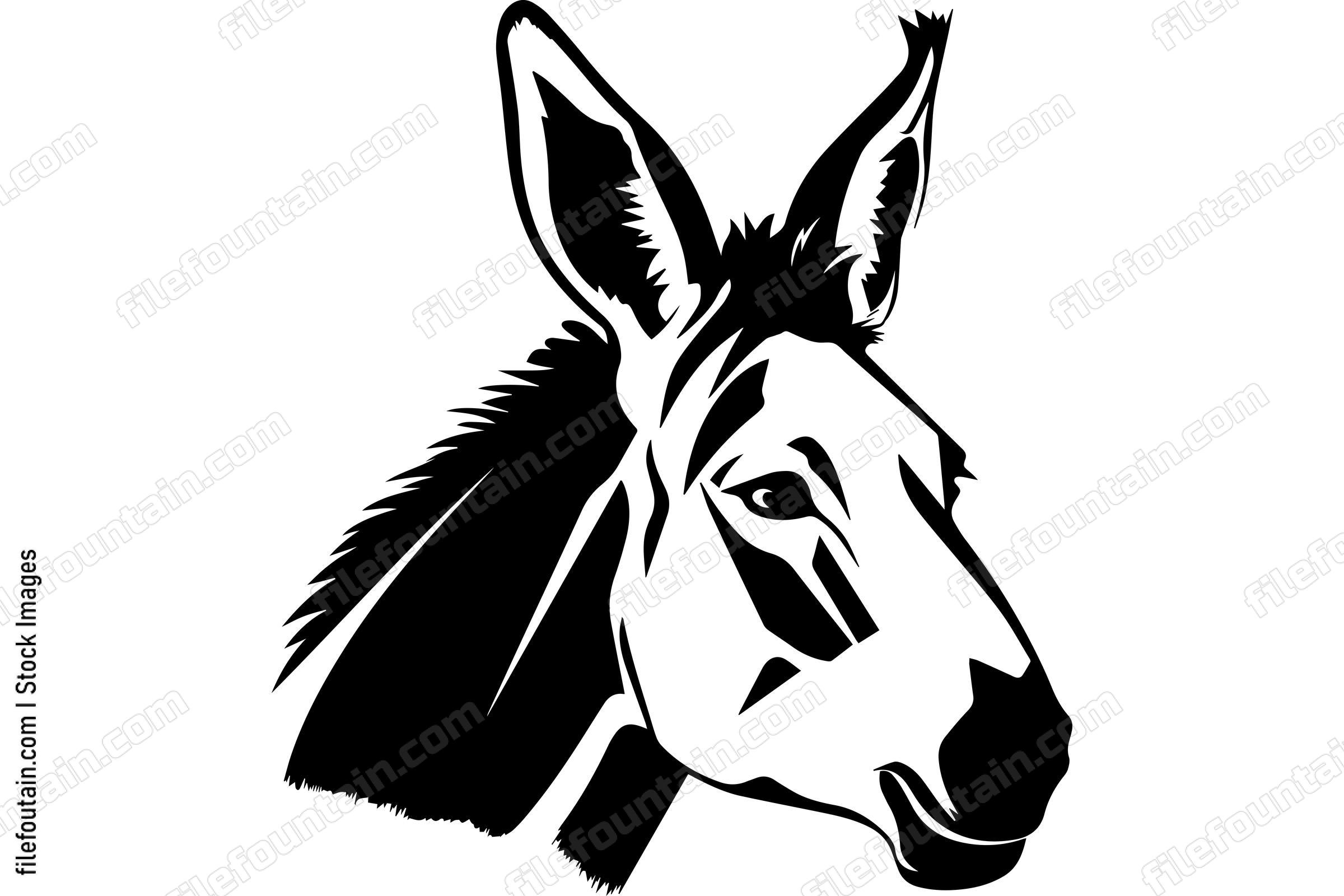 Donkey