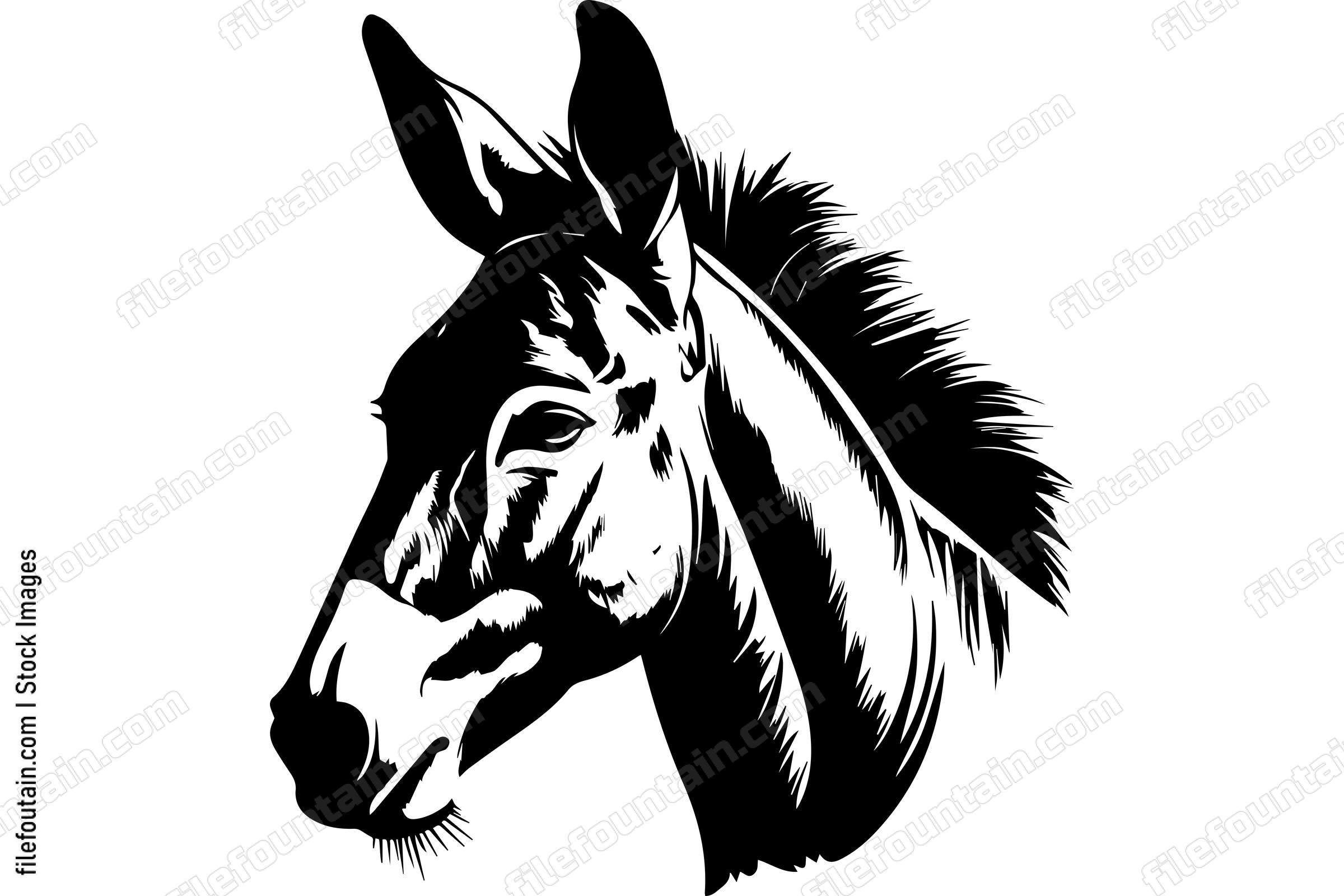 Donkey