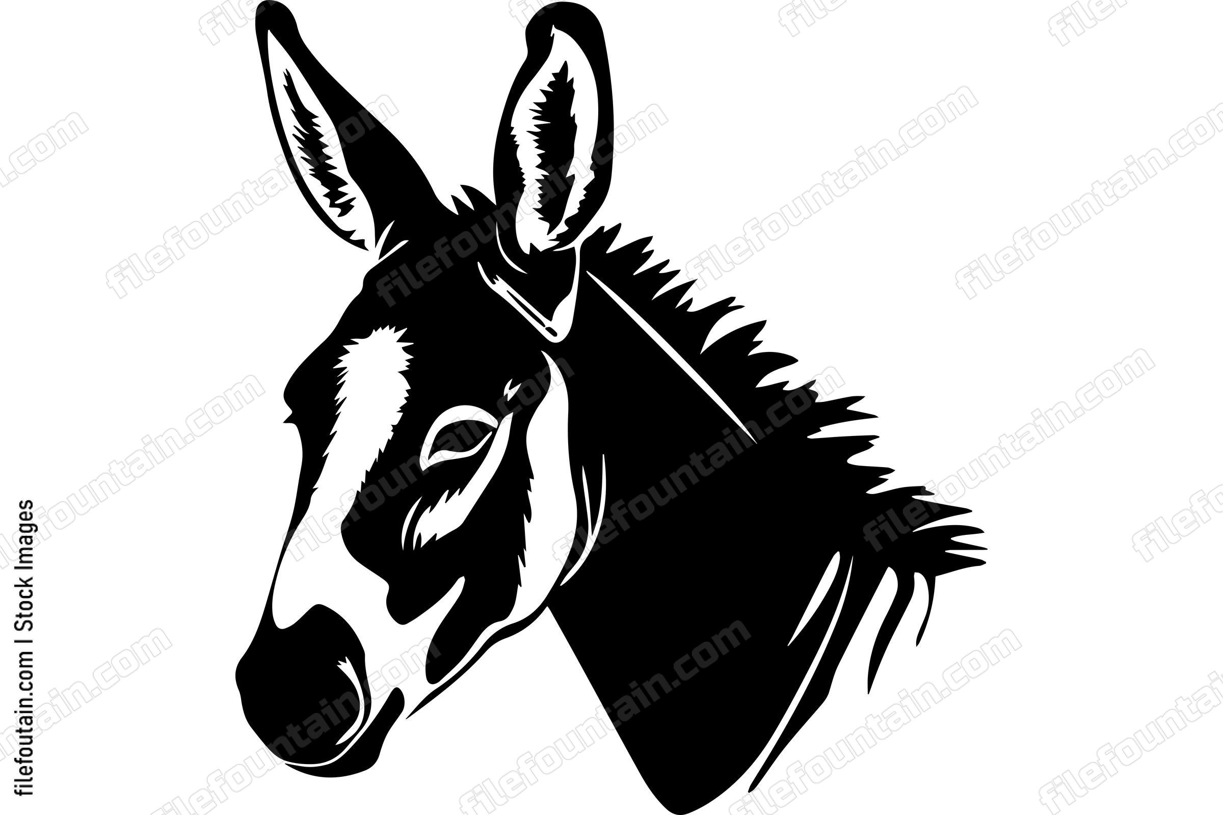 Donkey