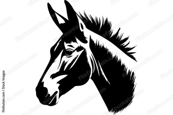 Donkey
