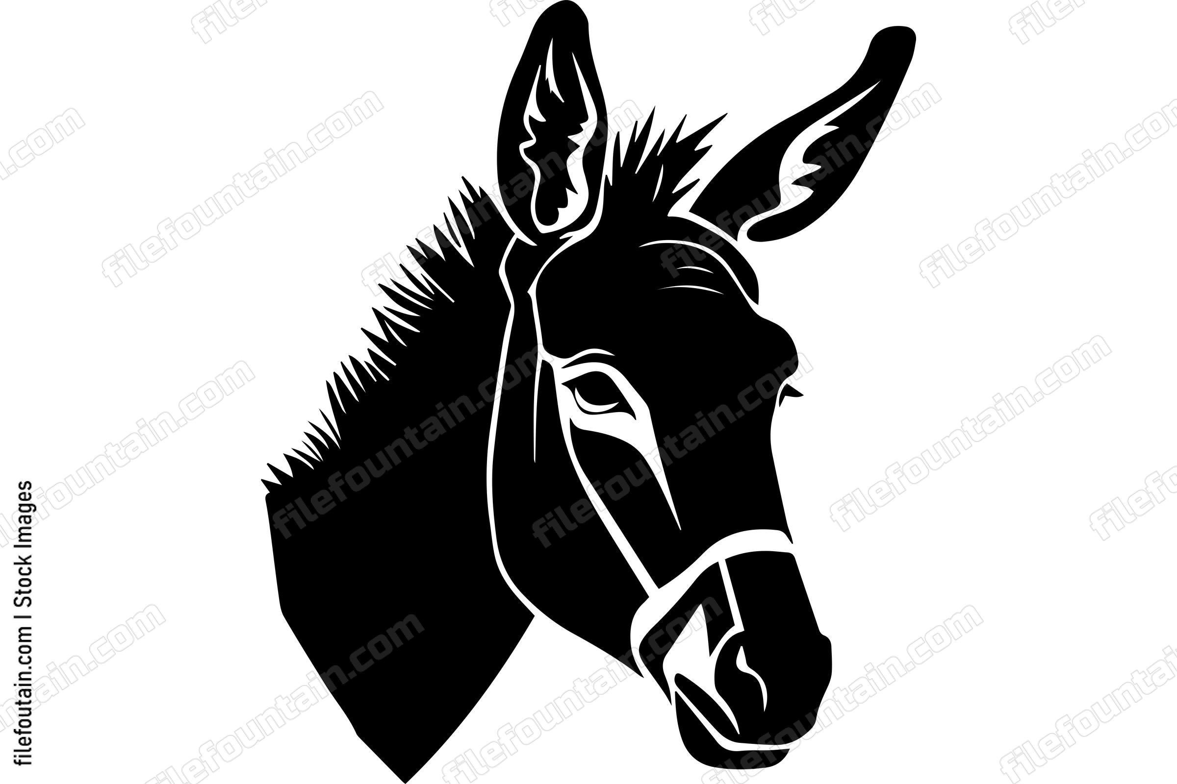 Donkey