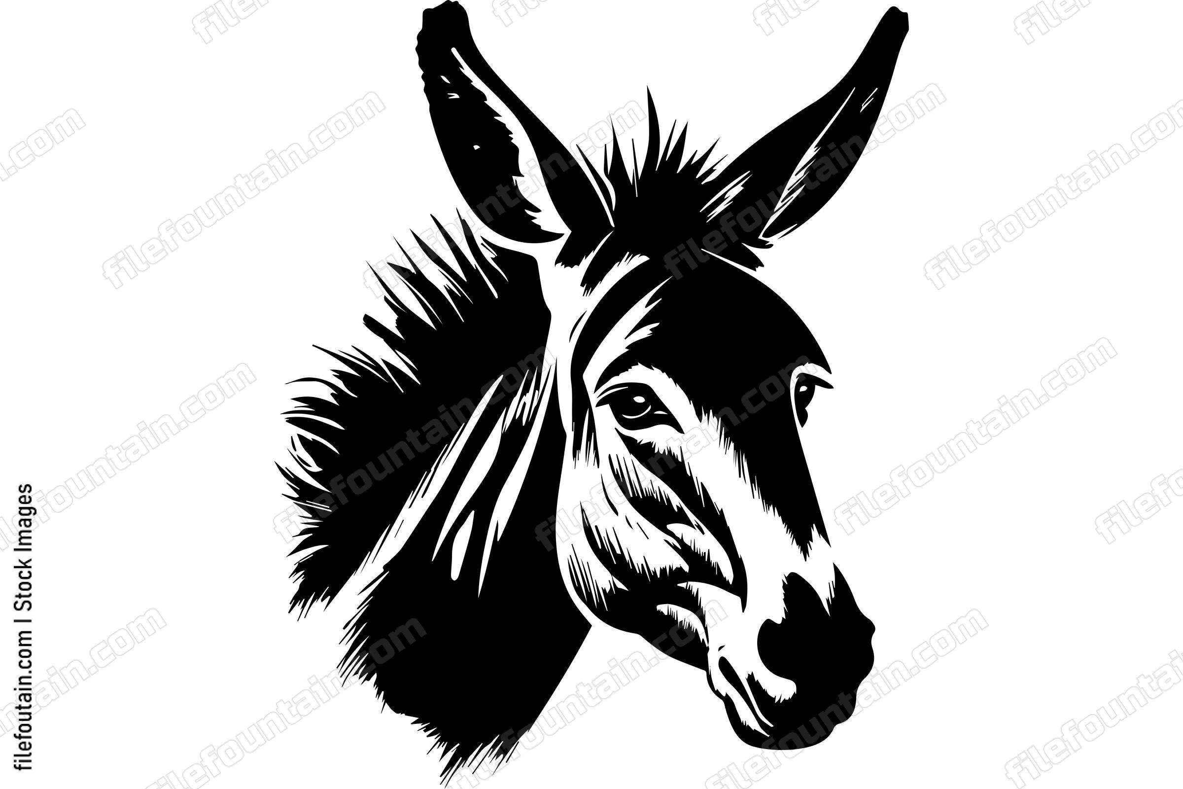 Donkey