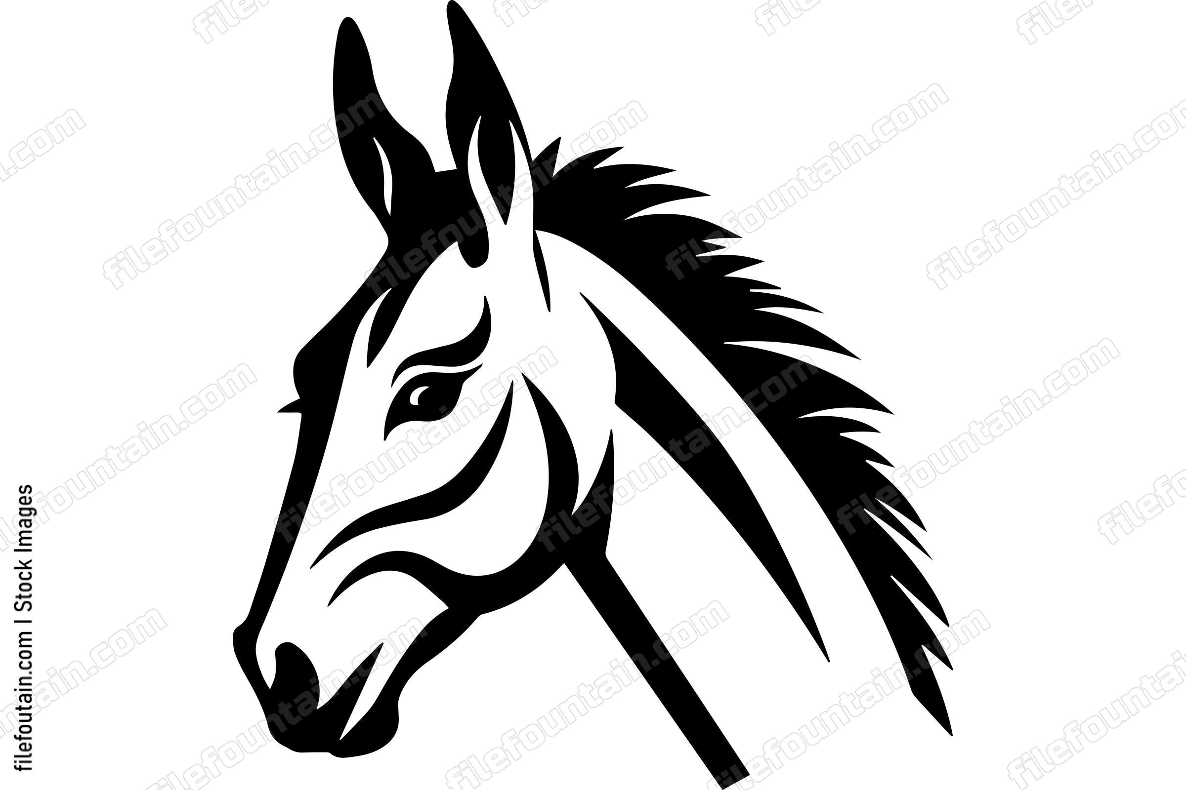 Donkey