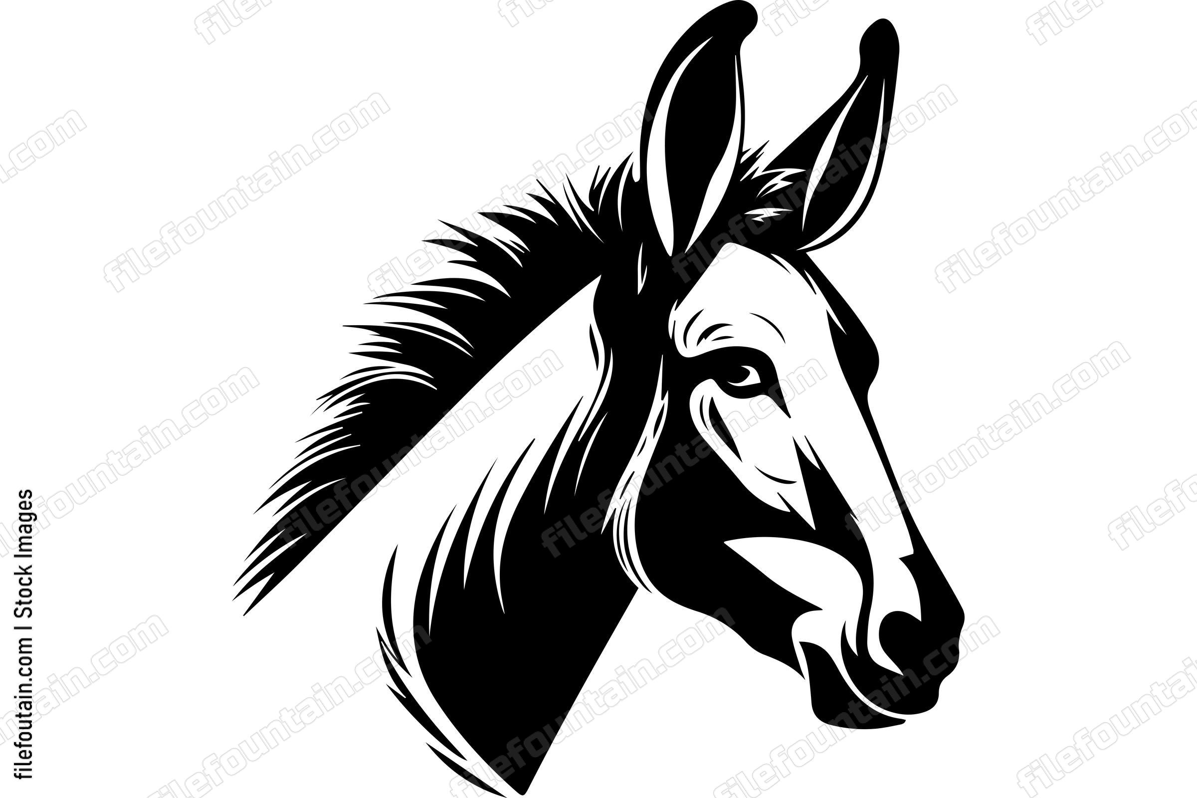 Donkey