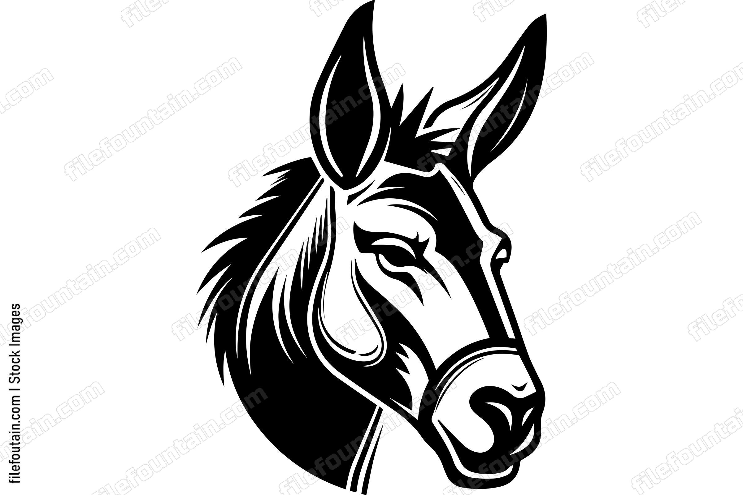 Donkey