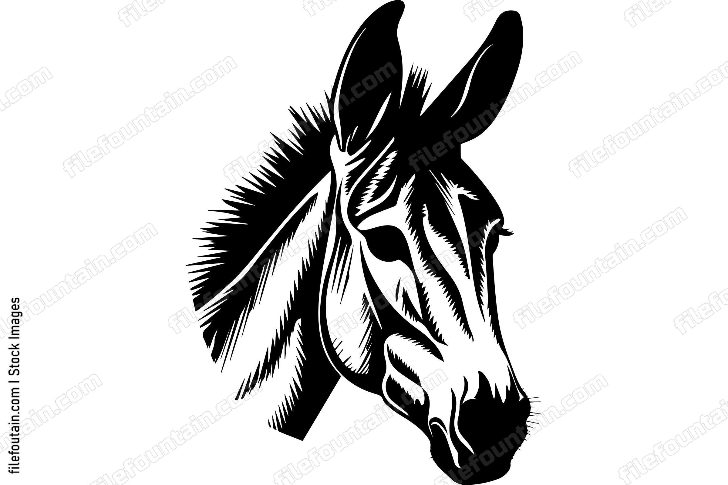 Donkey