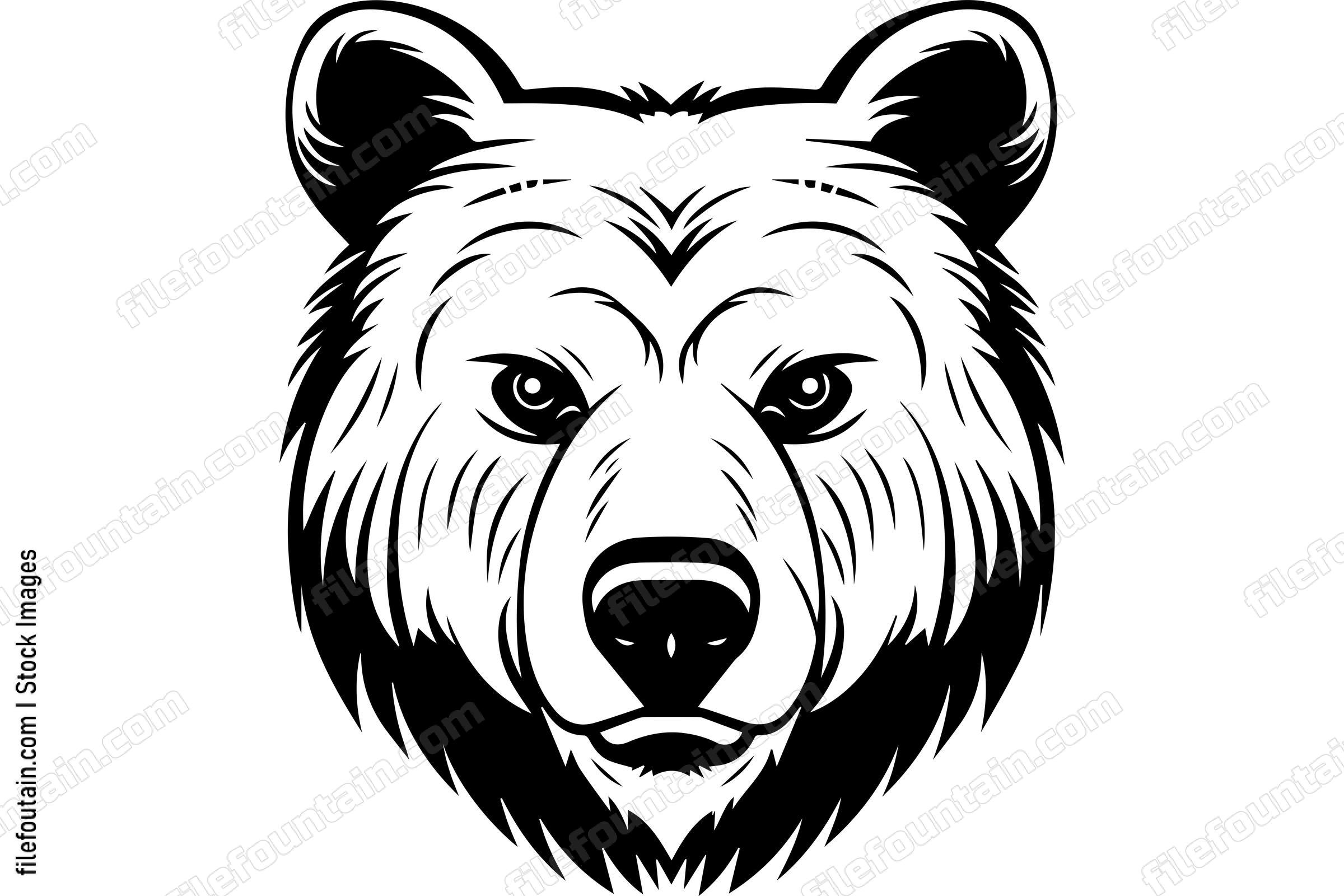 Grizzly Bear