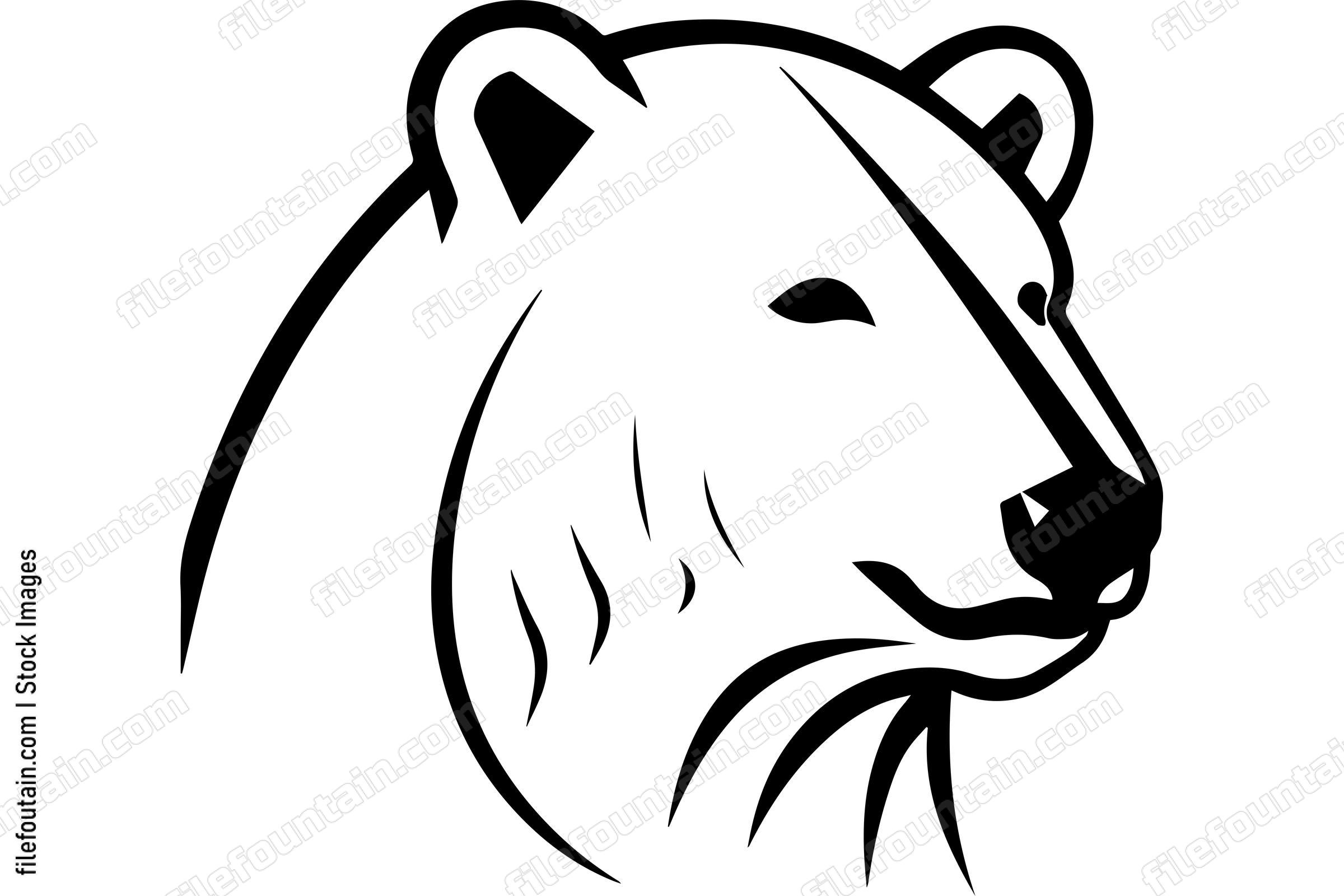 Polar Bear