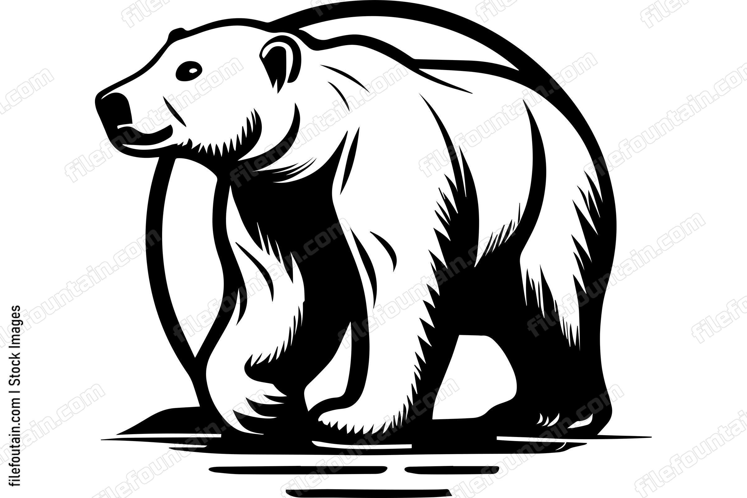 Polar Bear