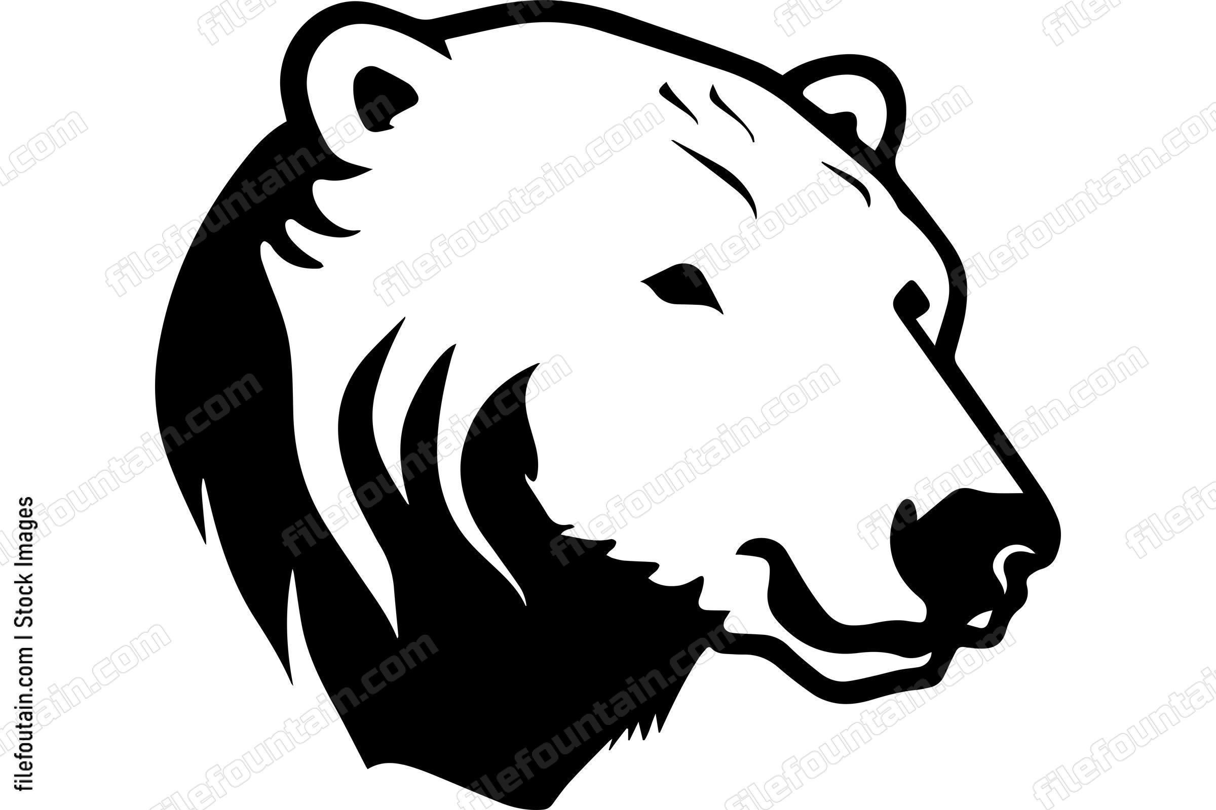 Polar Bear