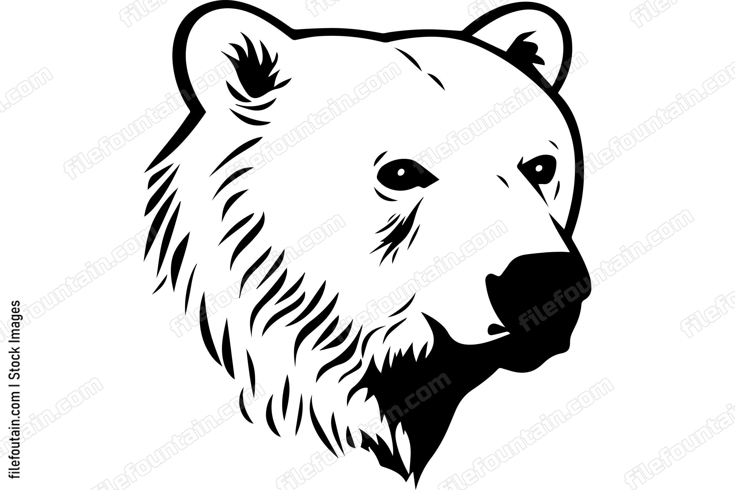 Polar Bear