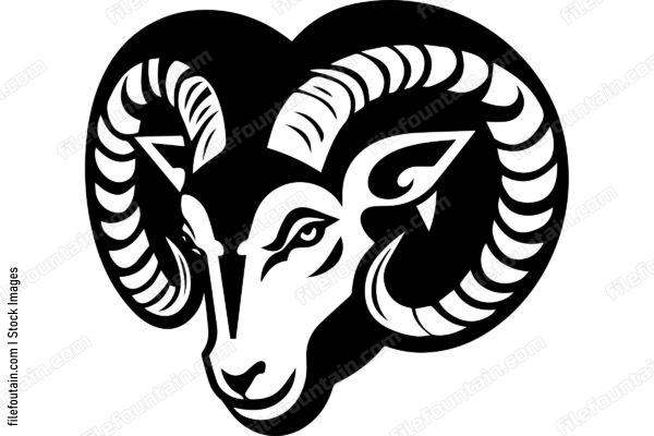 Ram