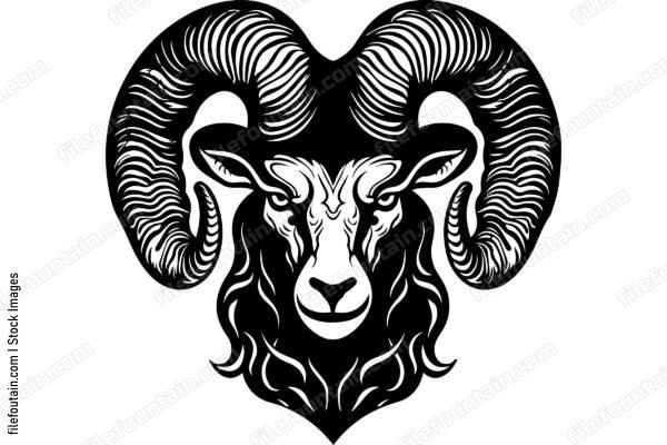 Ram