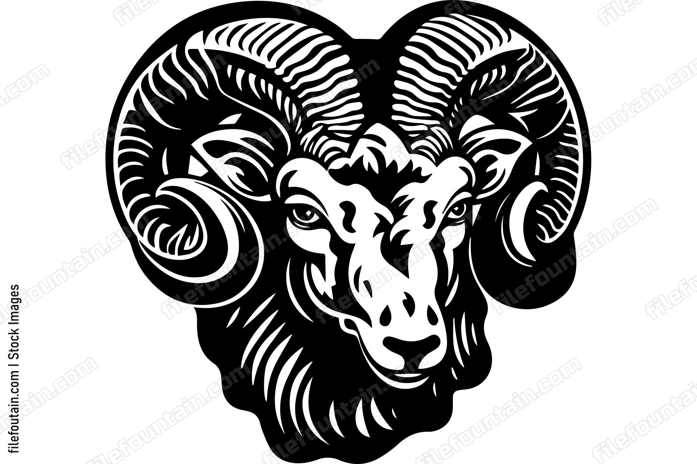 Ram