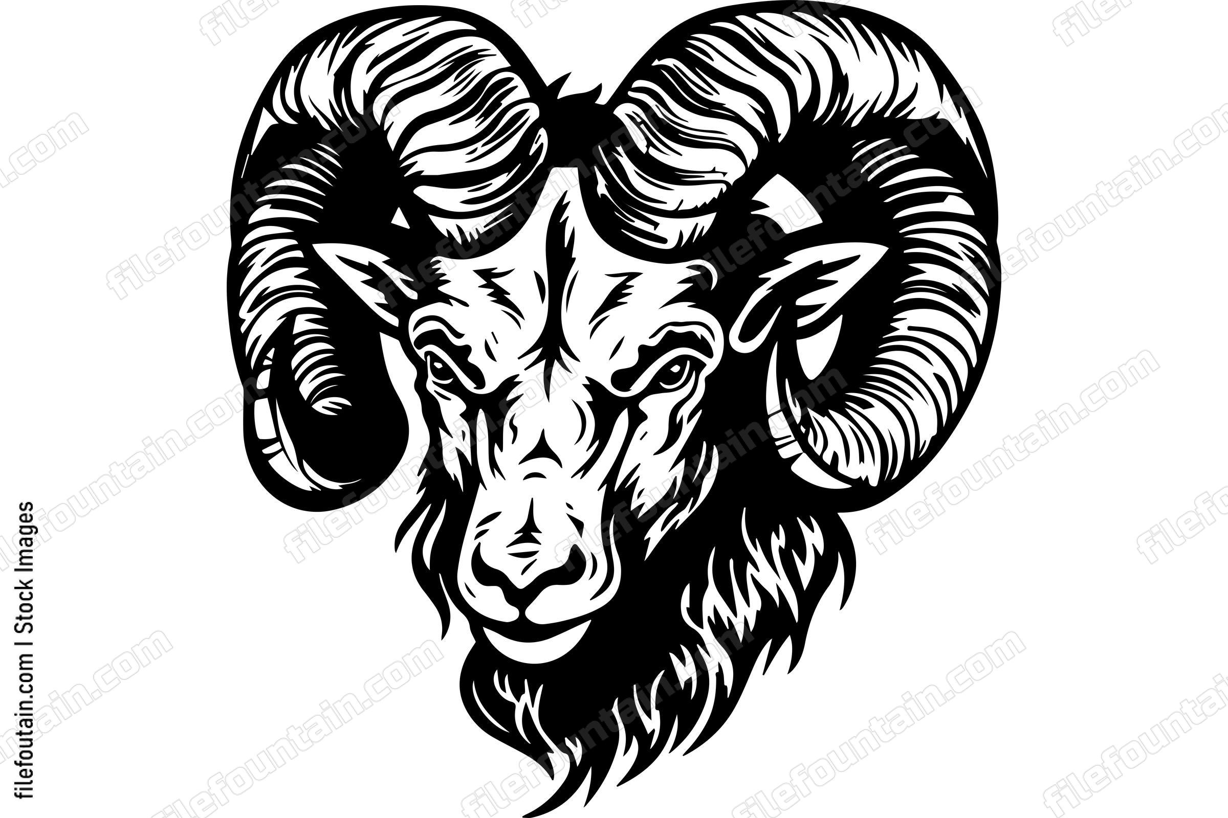Ram
