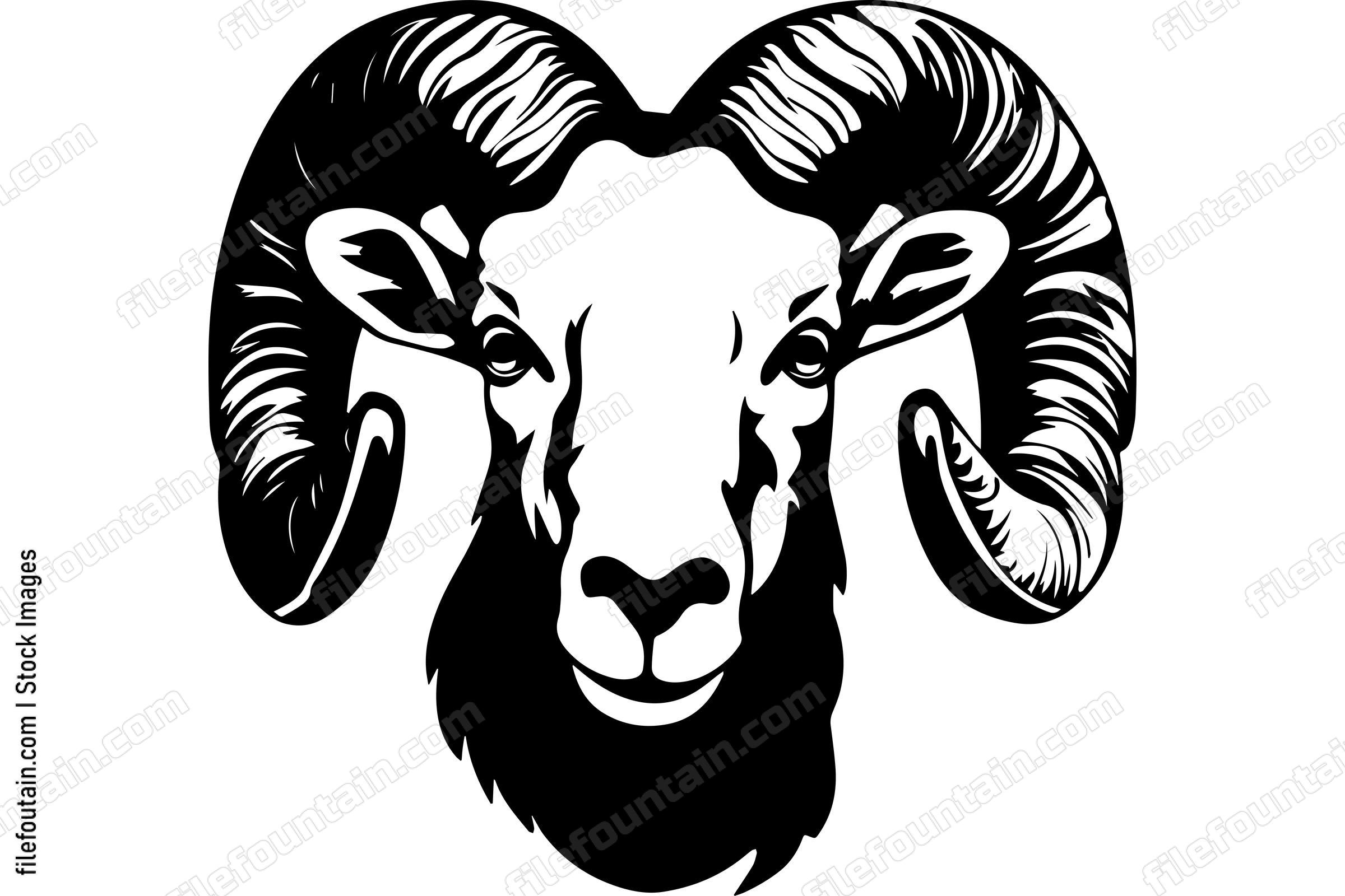 Ram