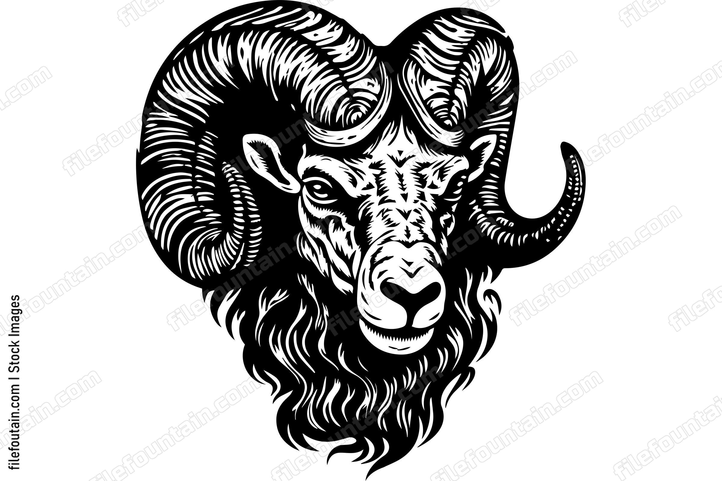 Ram