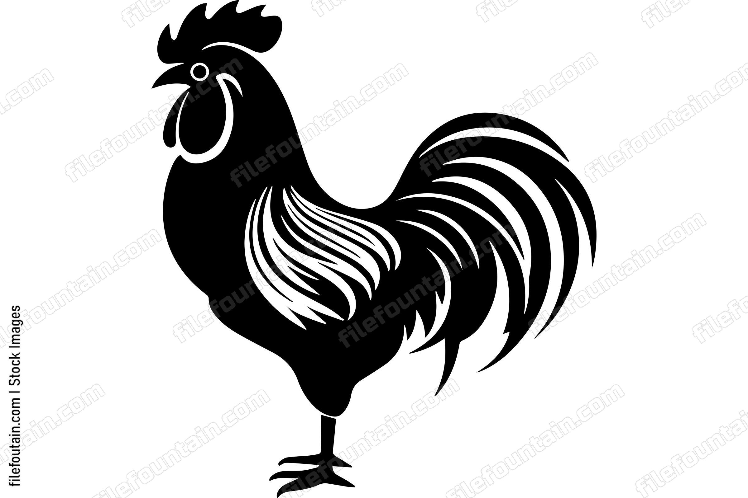Rooster