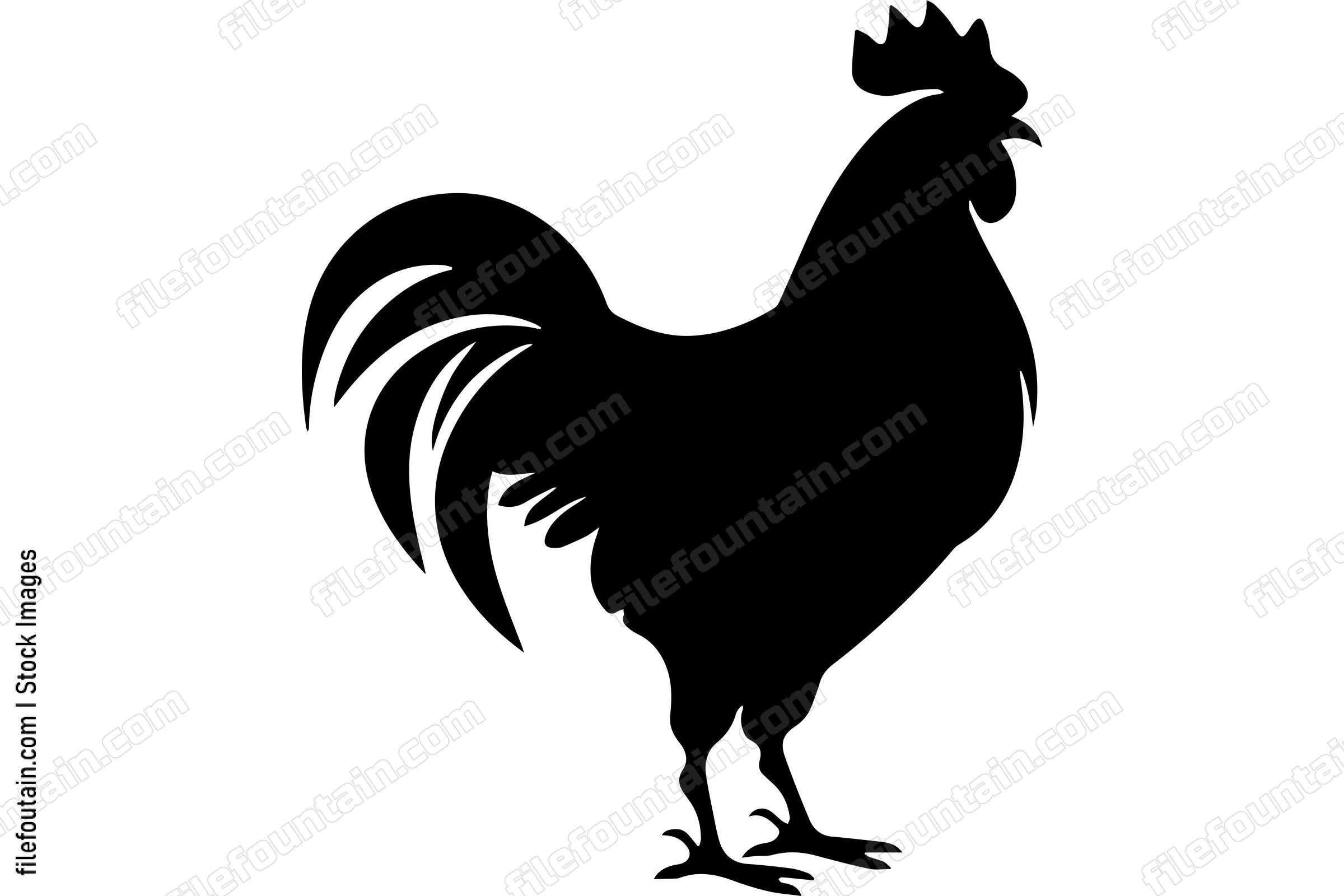 Rooster