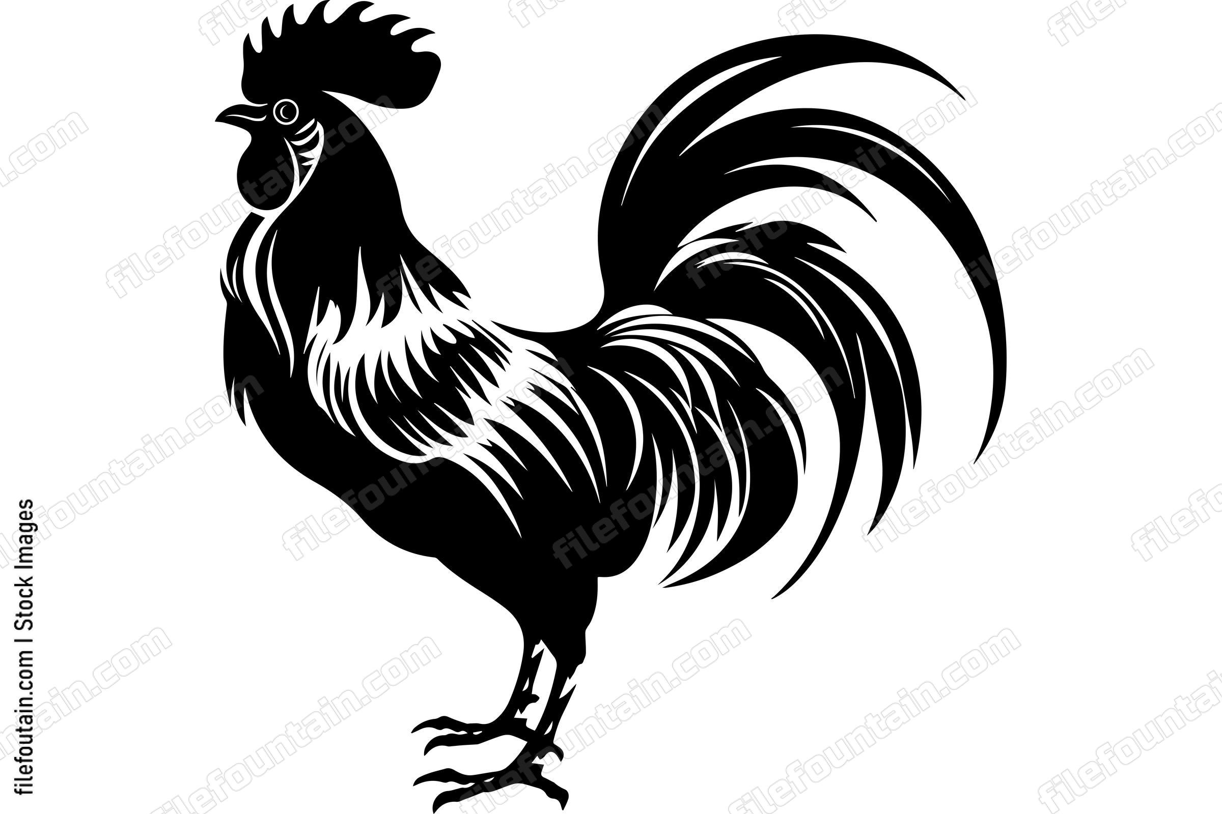 Rooster