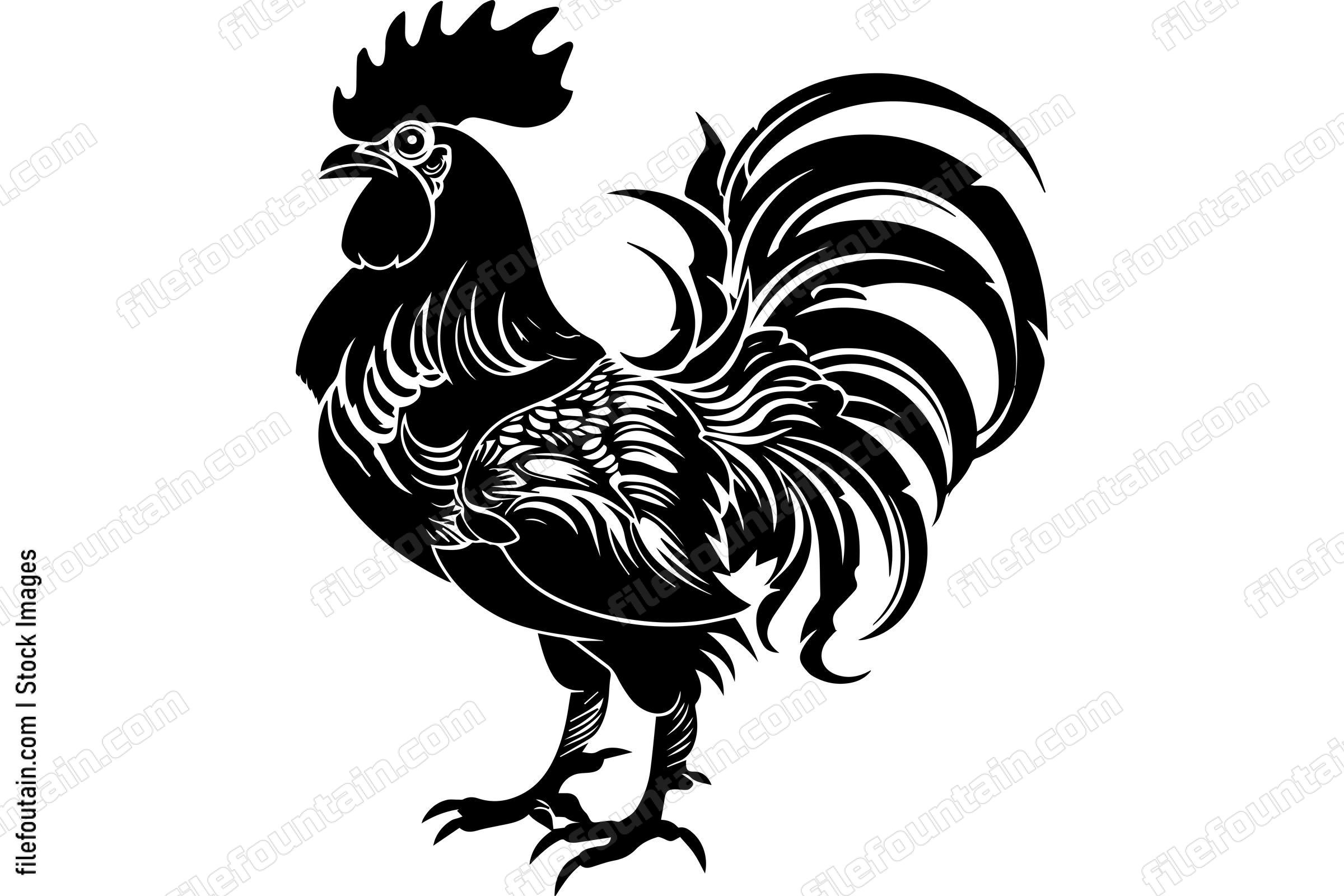 Rooster