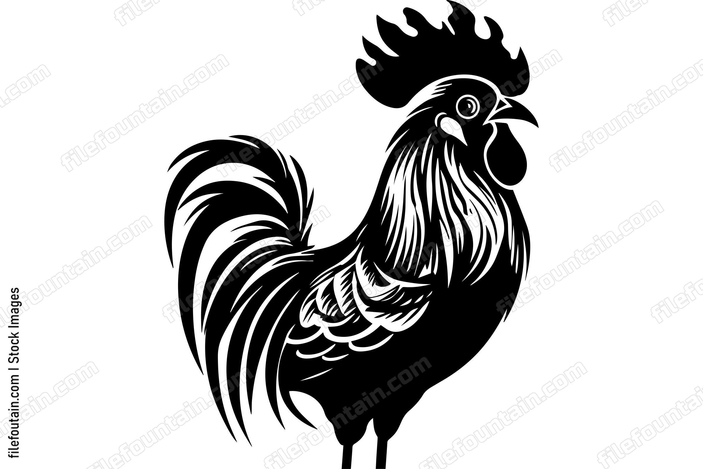 Rooster