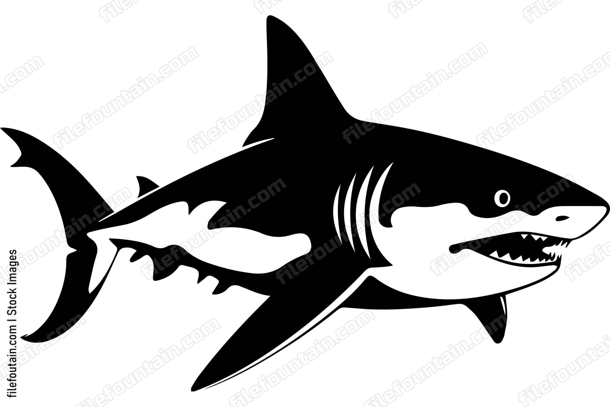 Shark