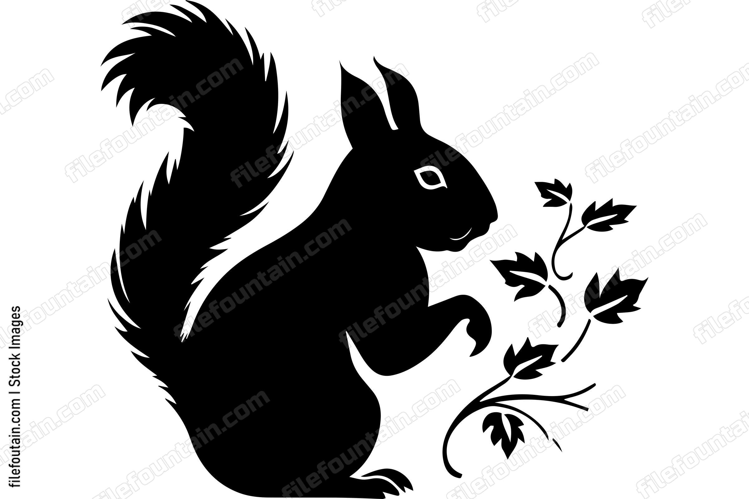 Squirrel