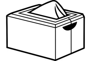 Tissue Box