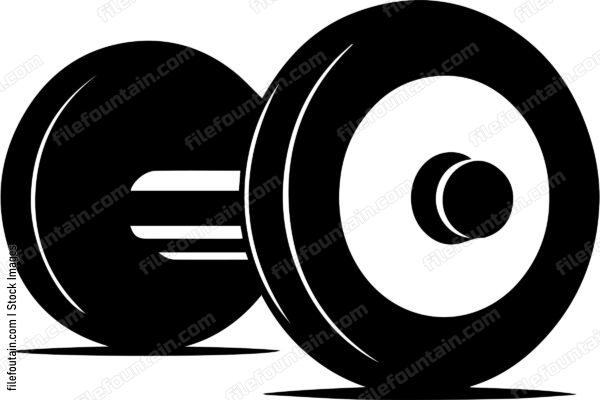 Ab Roller
