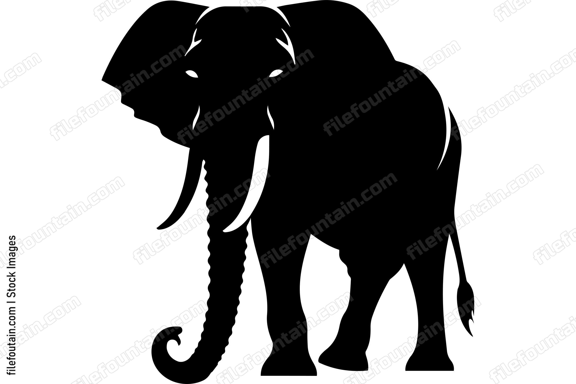 African Elephant