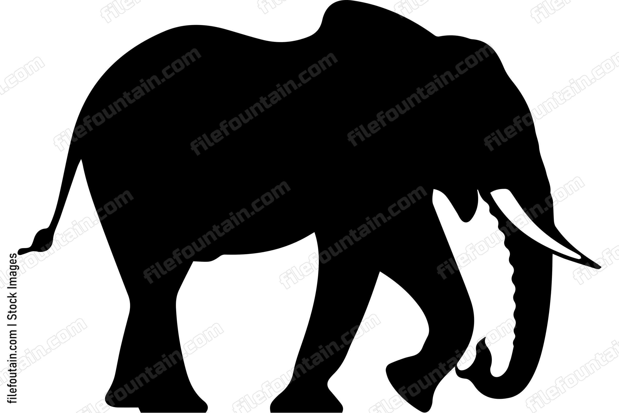 African Elephant