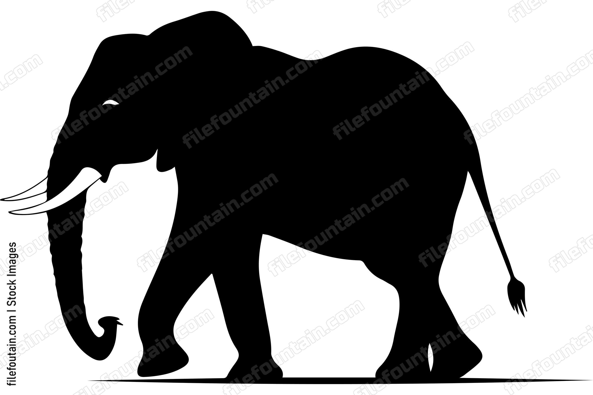 African Elephant