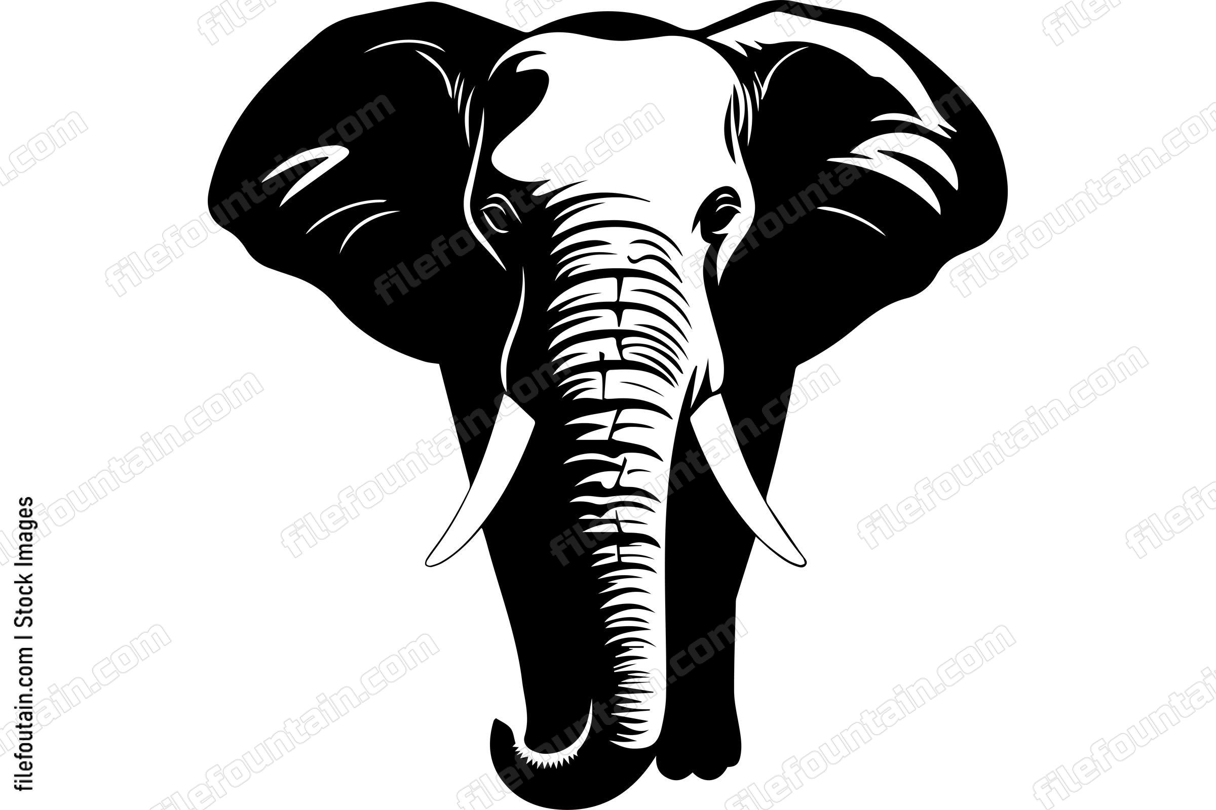 African Elephant