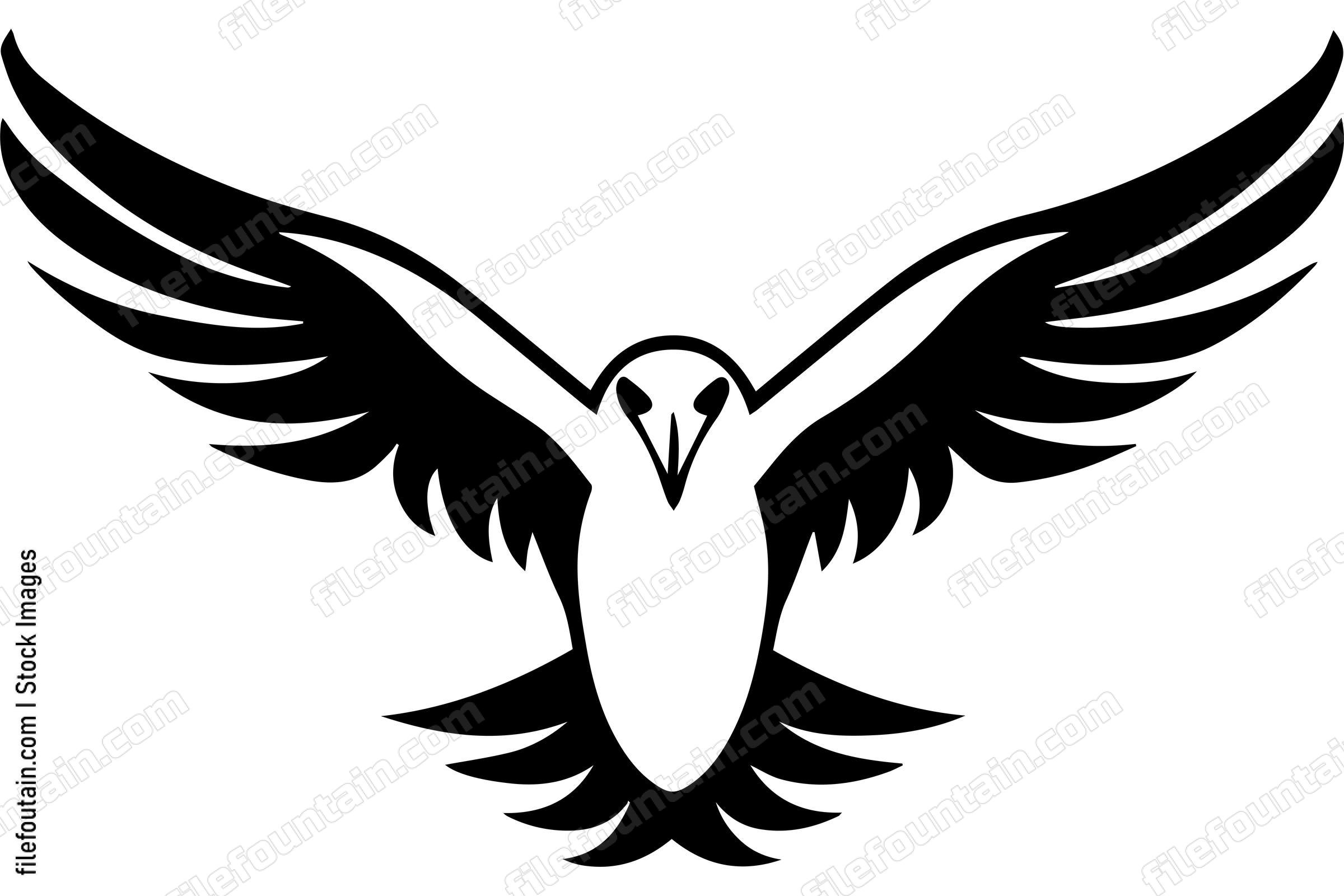 Albatross Bird Flying
