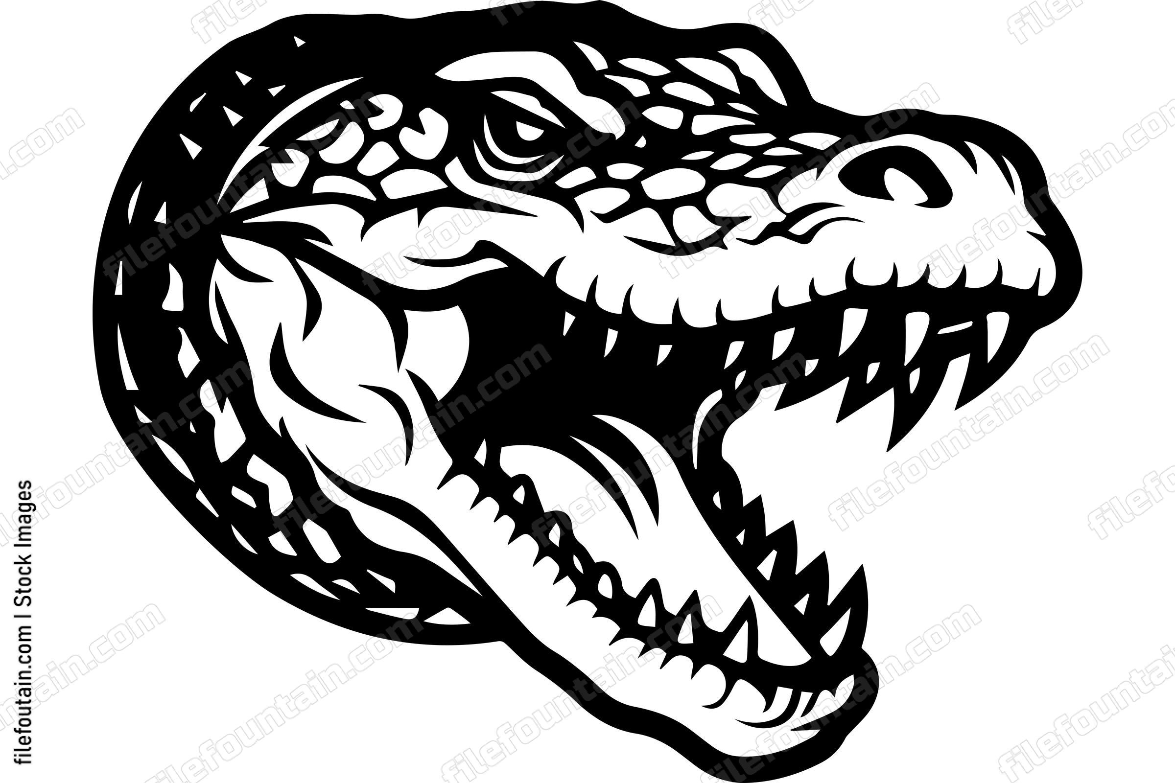 Alligator