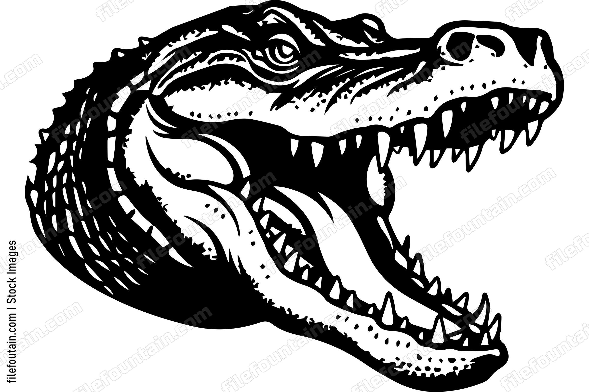 Alligator