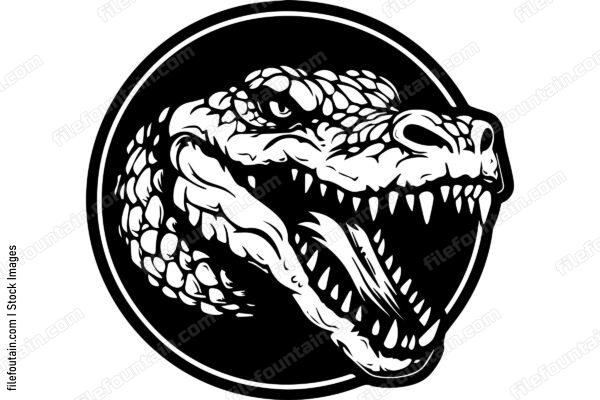 Alligator