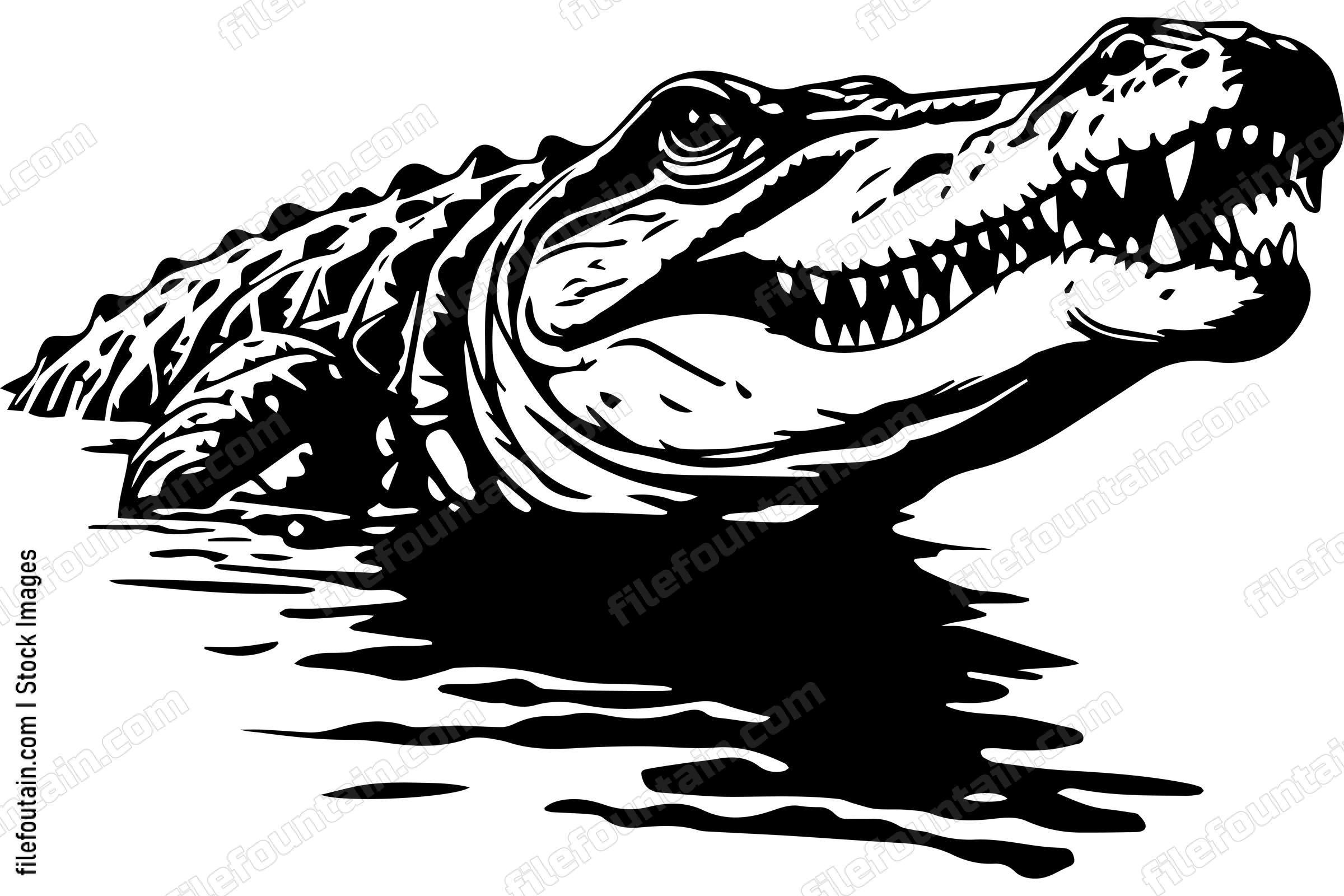 Alligator In Water