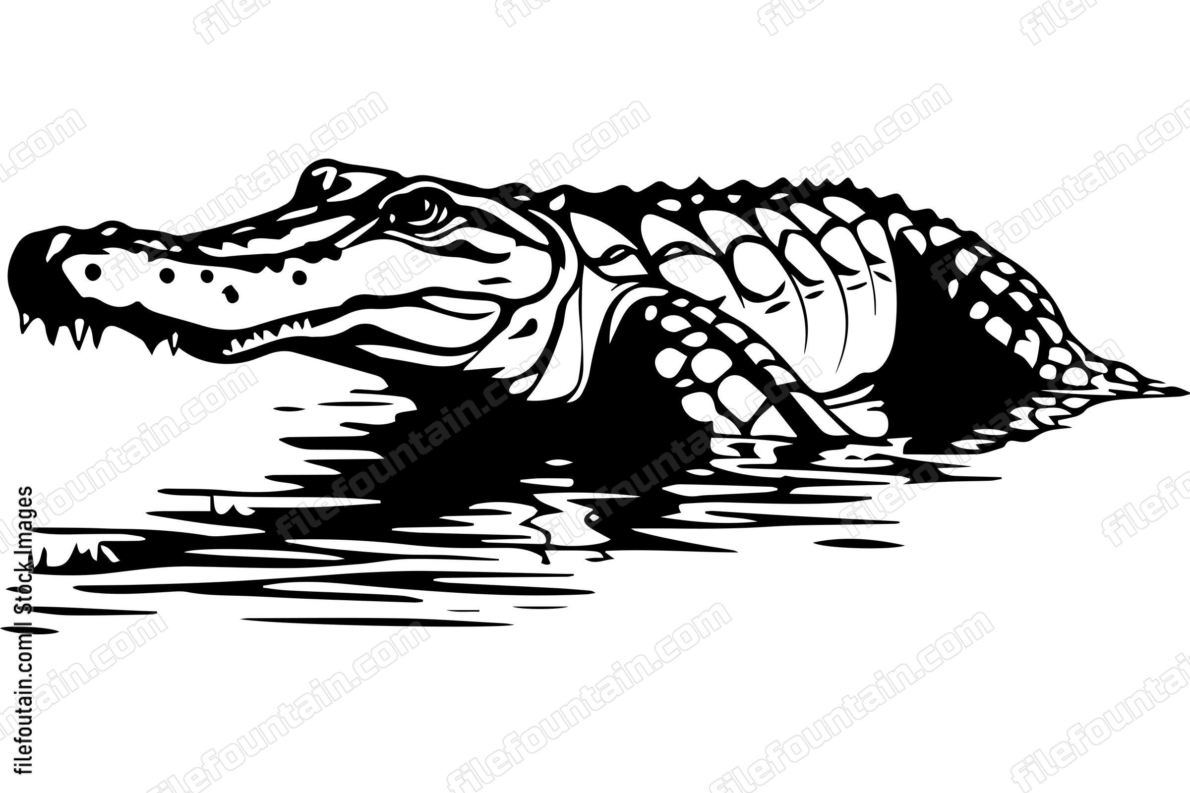 Alligator In Water