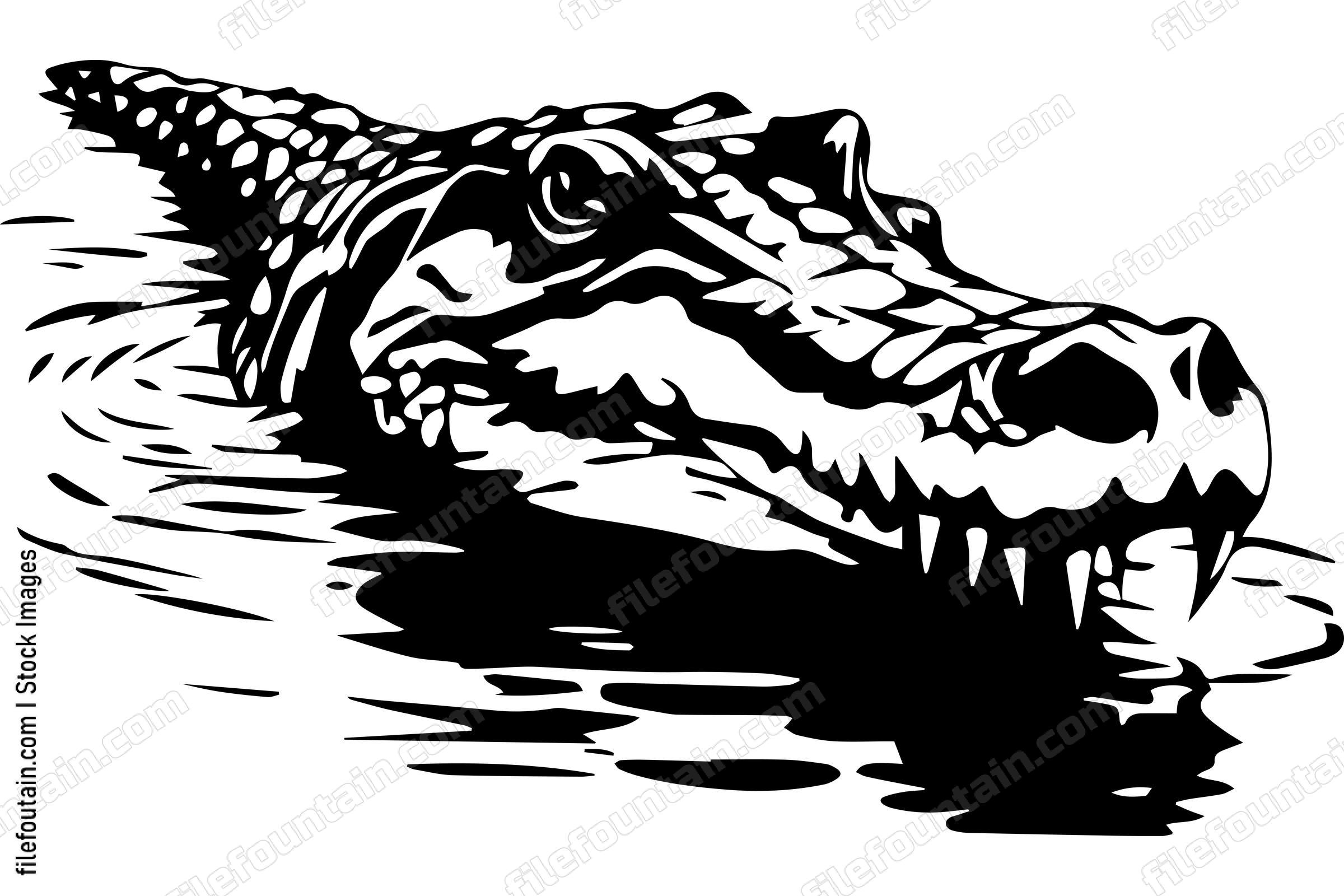 Alligator In Water