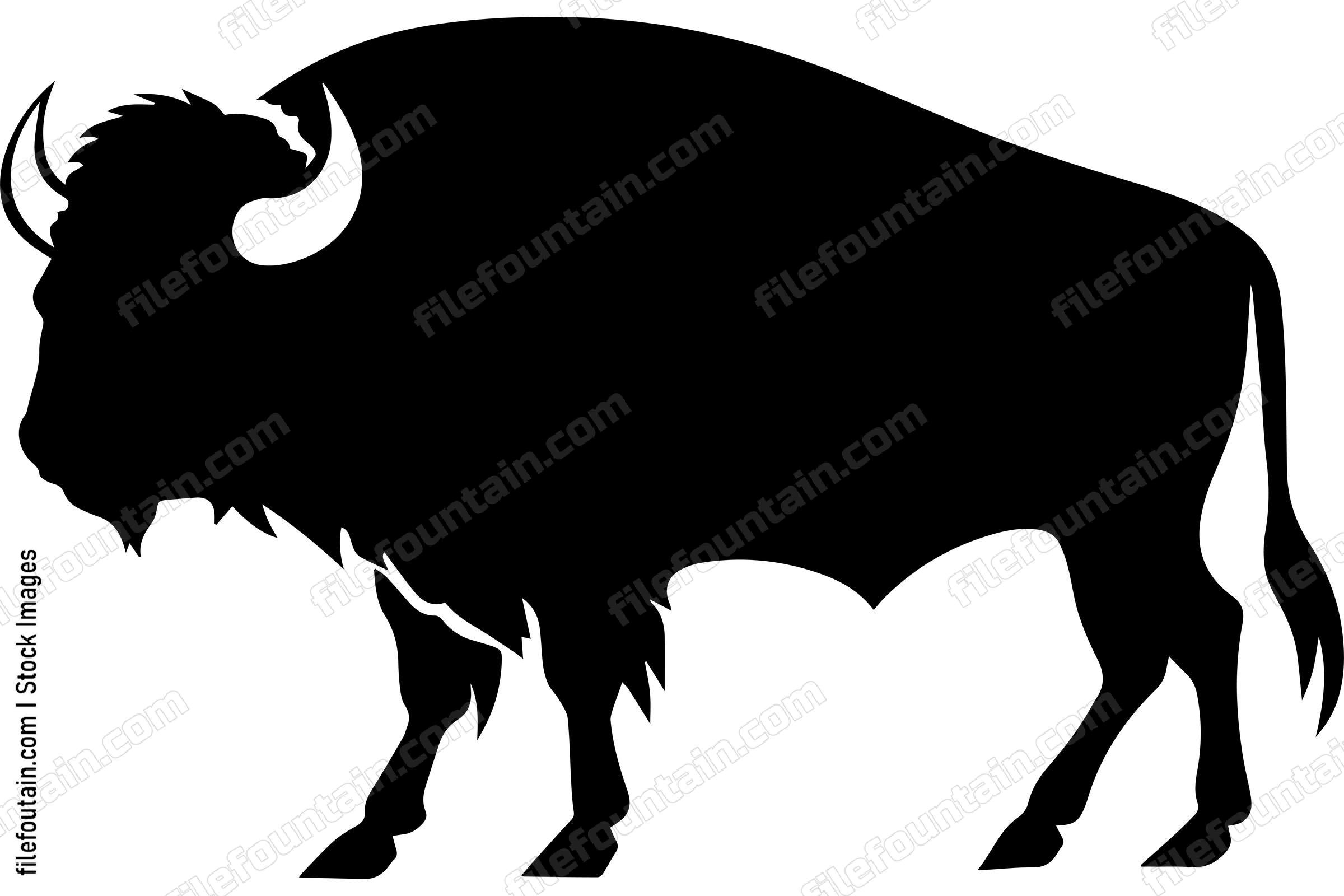 American Bison