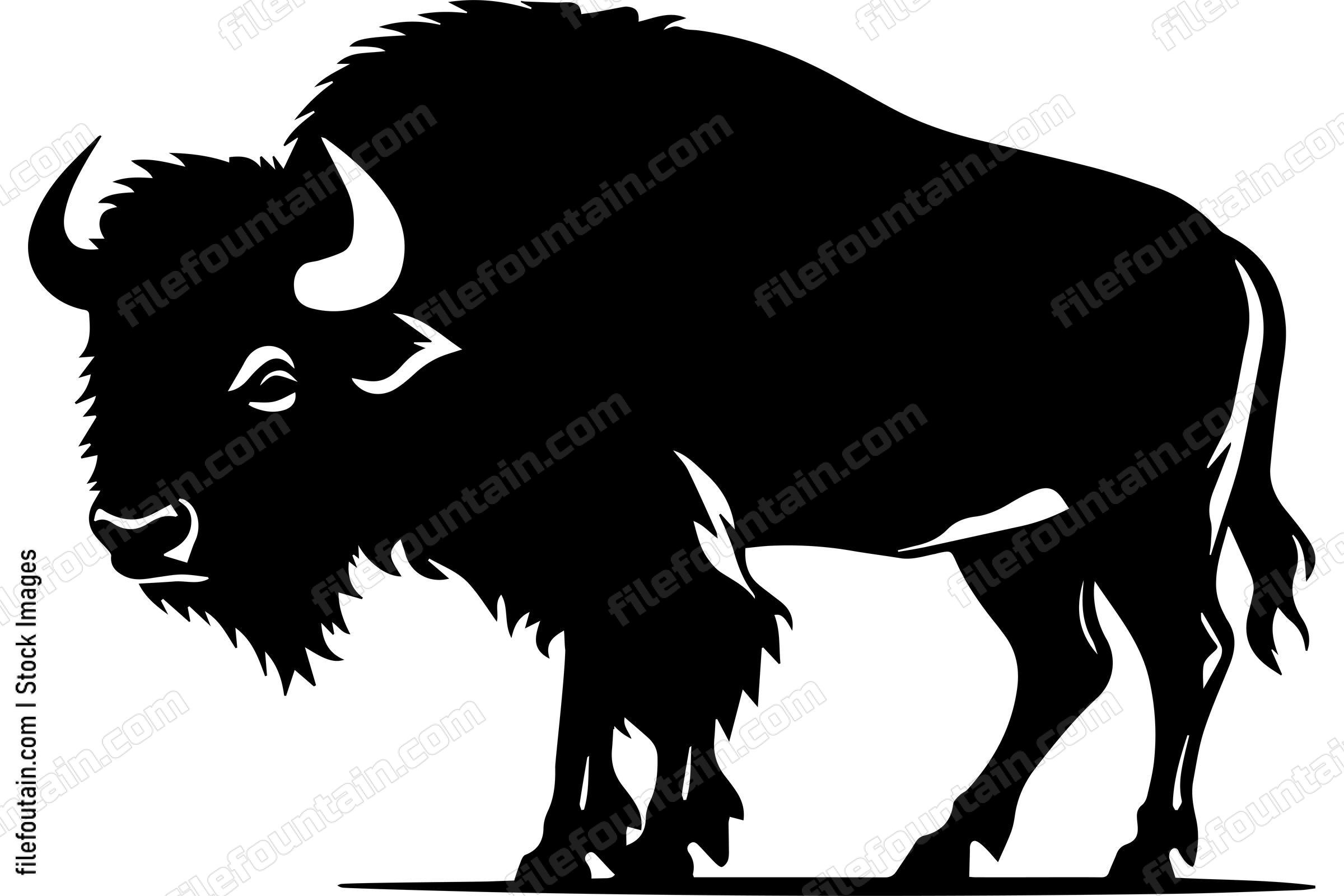 American Bison