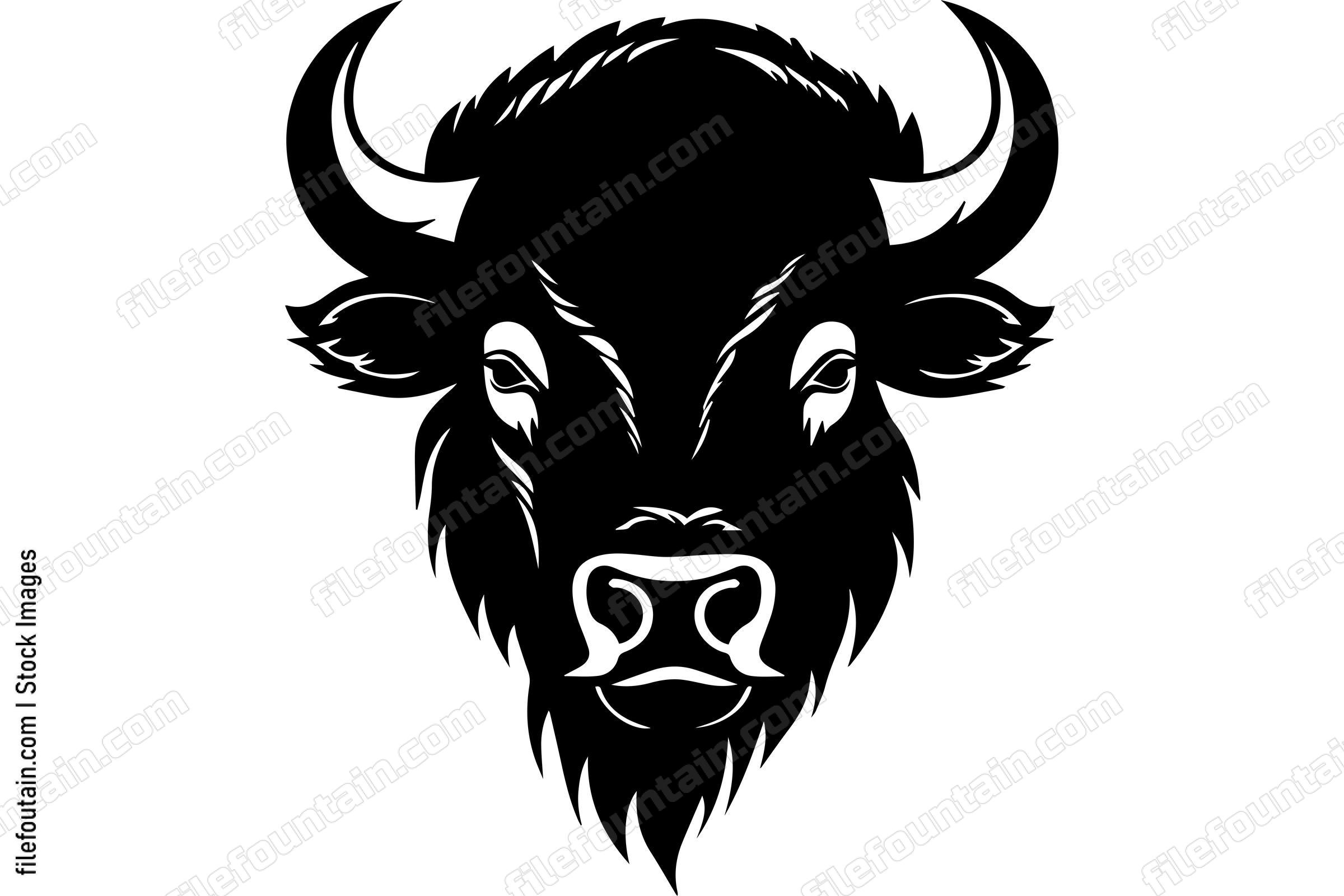 American Bison