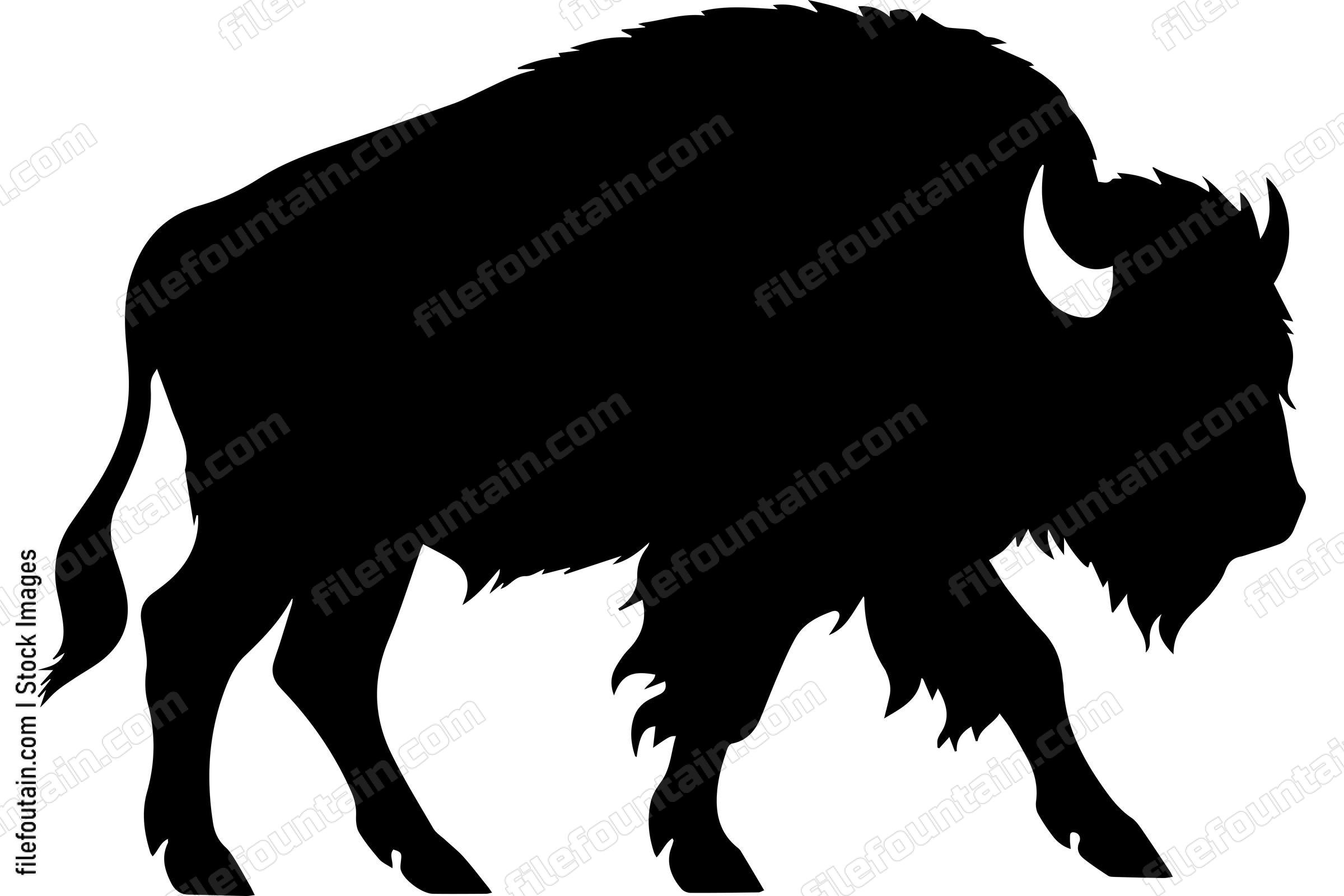 American Bison