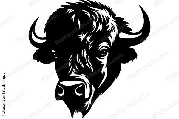 American Bison